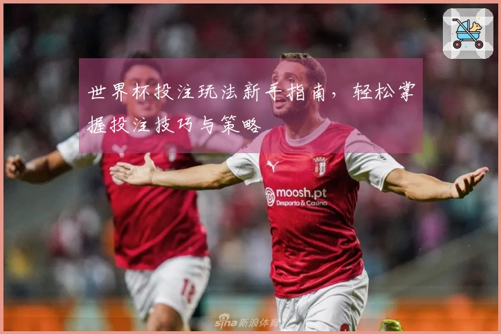 世界杯投注玩法新手指南，轻松掌握投注技巧与策略