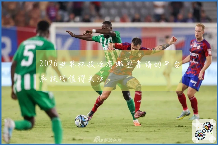 2026世界杯投注有哪些靠谱的平台和技巧值得关注