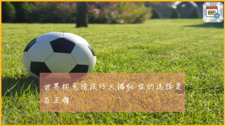 世界杯竞猜技巧大揭秘 你的选择是否正确