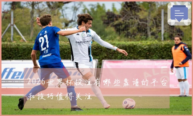 2026世界杯投注有哪些靠谱的平台和技巧值得关注